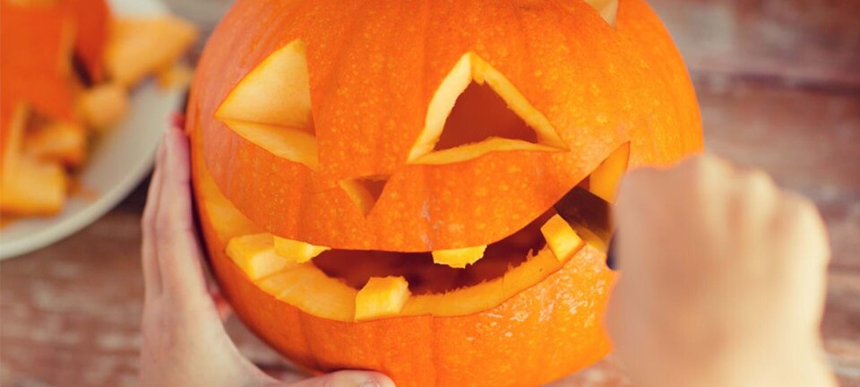 Lær at skære en græskarlampe til halloween