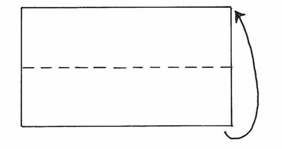 Nem og hurtig sangskjuler hjerte