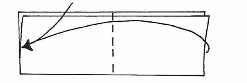 Nem og hurtig sangskjuler hjerte