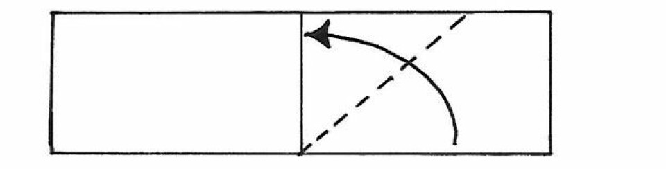 Nem og hurtig sangskjuler hjerte