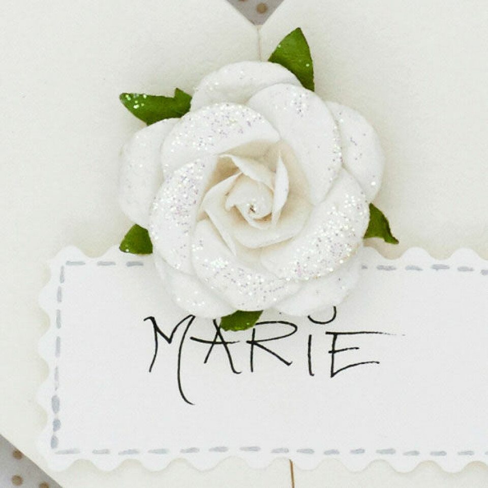 Nem og hurtig sangskjuler hjerte