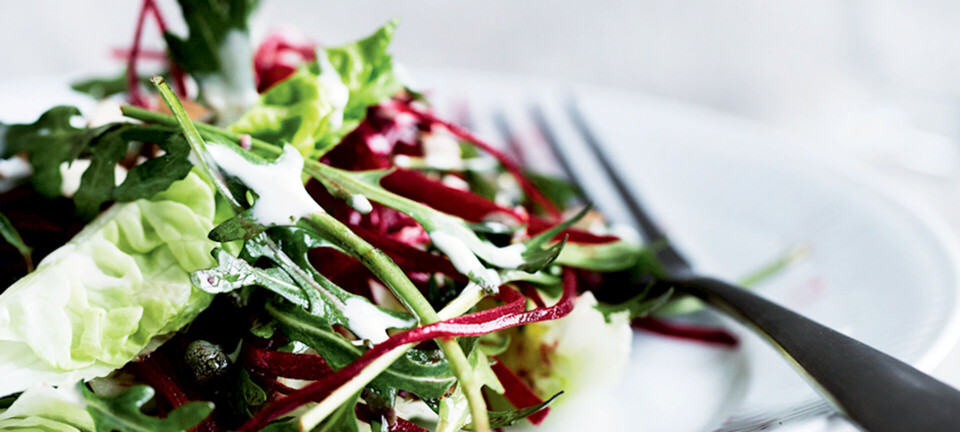 Rødbedesalat med sprød salat og mormordressing