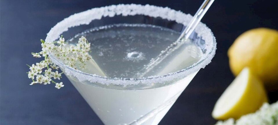 Skøn cocktail med hyldeblomst: Sådan laver du en hyldeblomst-martini