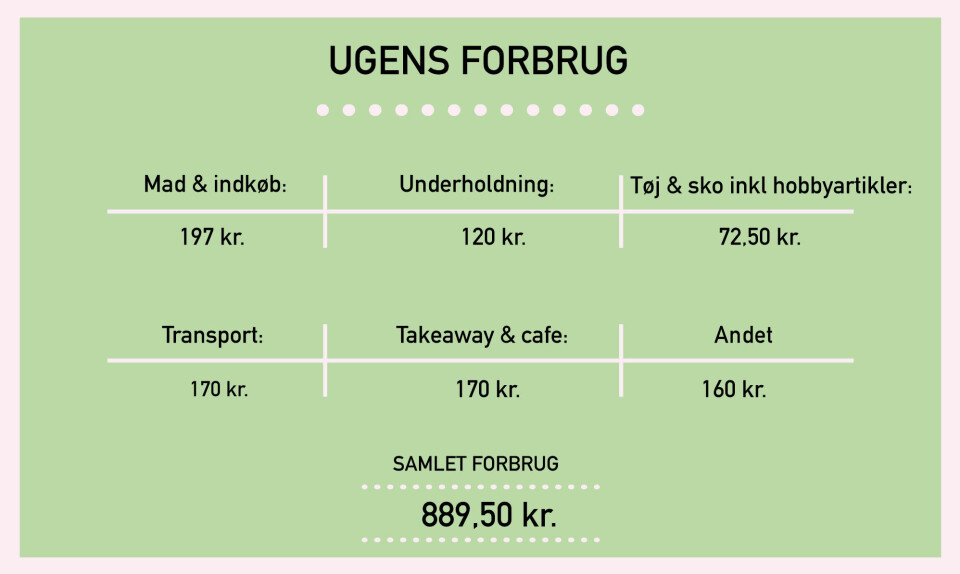 pengedagboeger_Camille_breakdown.jpg