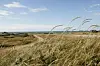 Tilmeld dig ALT for damernes Kvindeløb 2012 og vind ophold på Skalleup Klit