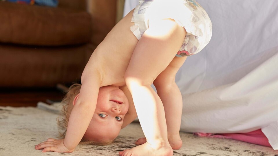 Stor guide: Her er de bedste buksebleer