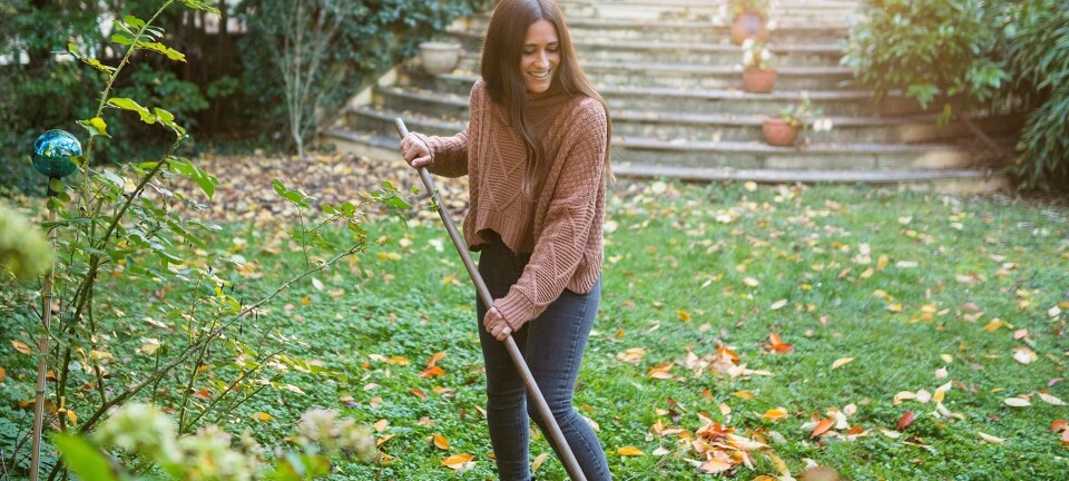 På med havehandsken: Sådan får du mest ud af din have i efteråret