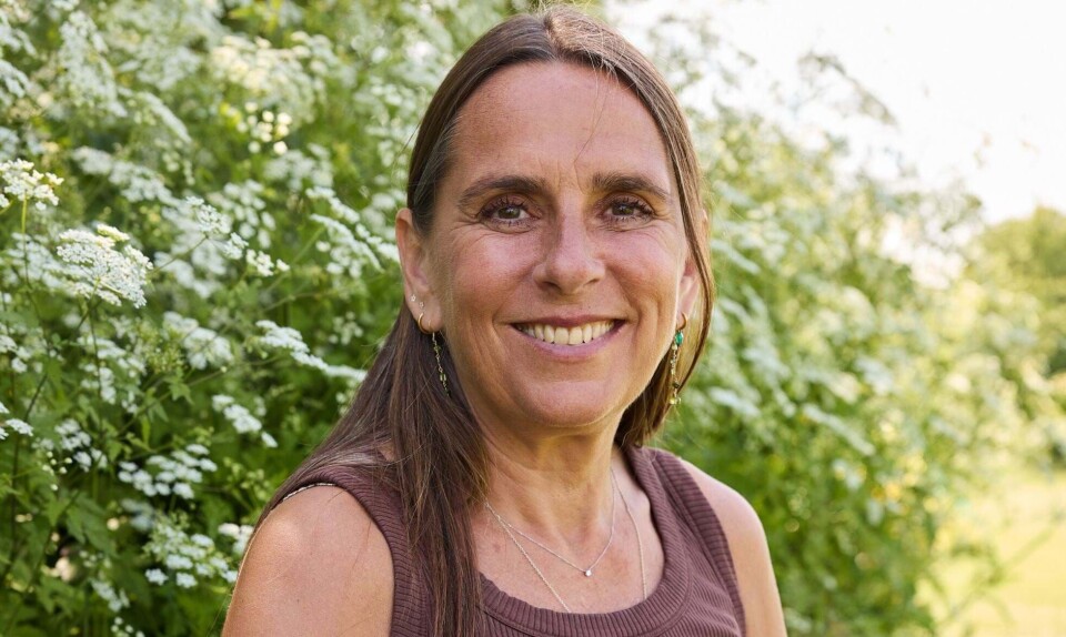 Anne Hjernøe