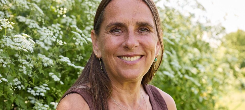 Har du for travlt i hverdagen? Her er Anne Hjernøes 11 veje til mere ro