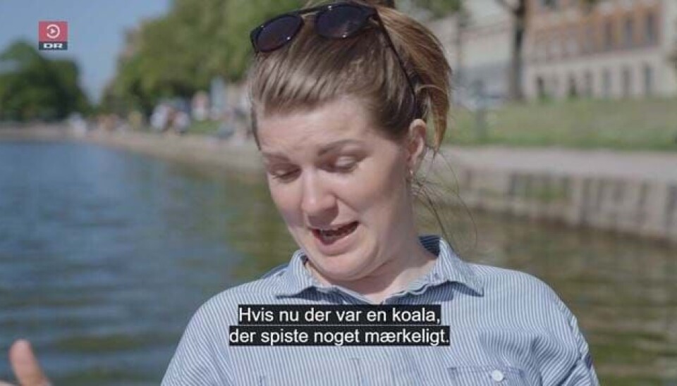 'Wow, det var måske alligevel overraskende': Så du sidste afsnit af Gift ved første blik?