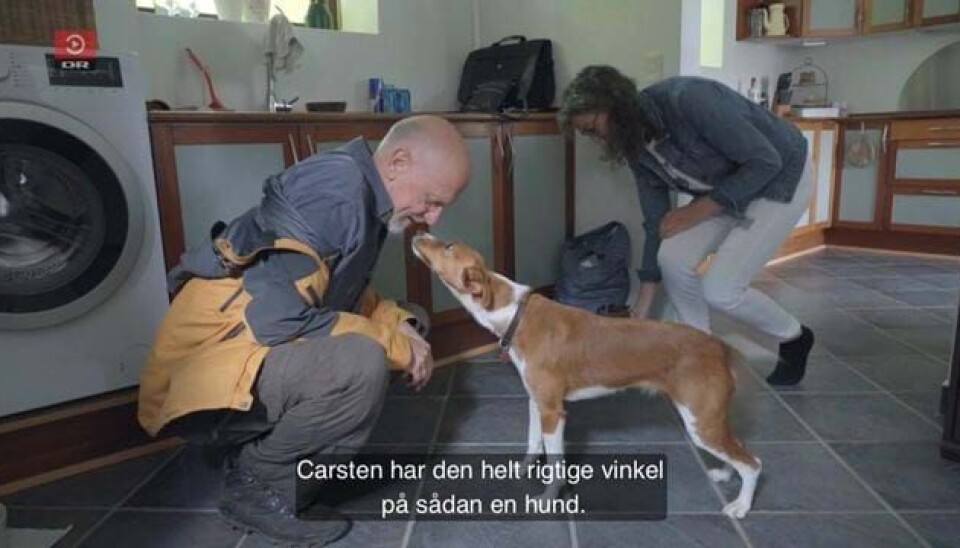 'Wow, det var måske alligevel overraskende': Så du sidste afsnit af Gift ved første blik?