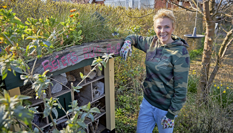 'Beiers Bug Bed & Breakfast' står der på insekthotellet, som huser pindsvin i bunden om vinteren (Foto: Bo Nymann)