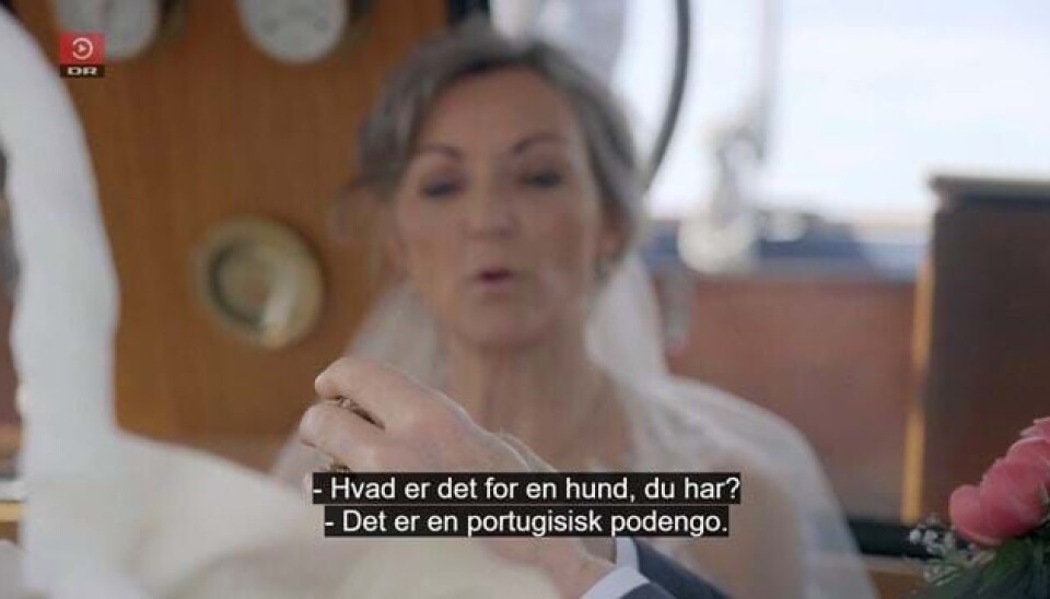 'Wow, det var måske alligevel overraskende': Så du sidste afsnit af Gift ved første blik?