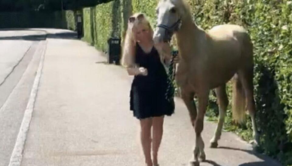 Maria med sin nye drømmehest (Foto: Privat)