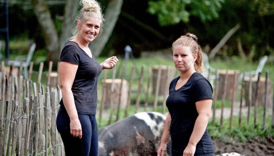 Michelle i 'Hjem til gården' sammen med deltageren Tina, som hun havde det godt med (Foto: Lotta Lemche/TV2)