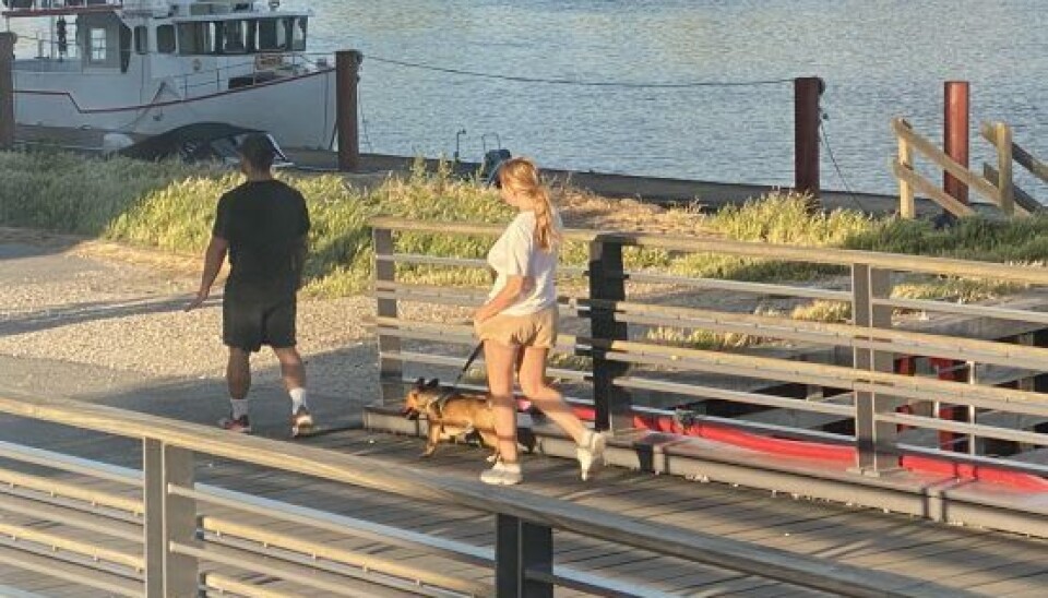 Fie og Gehad luftede ofte Fies hund sammen i Sydhavnen, hvor hun boede dengang (Foto: Jan Körner)
