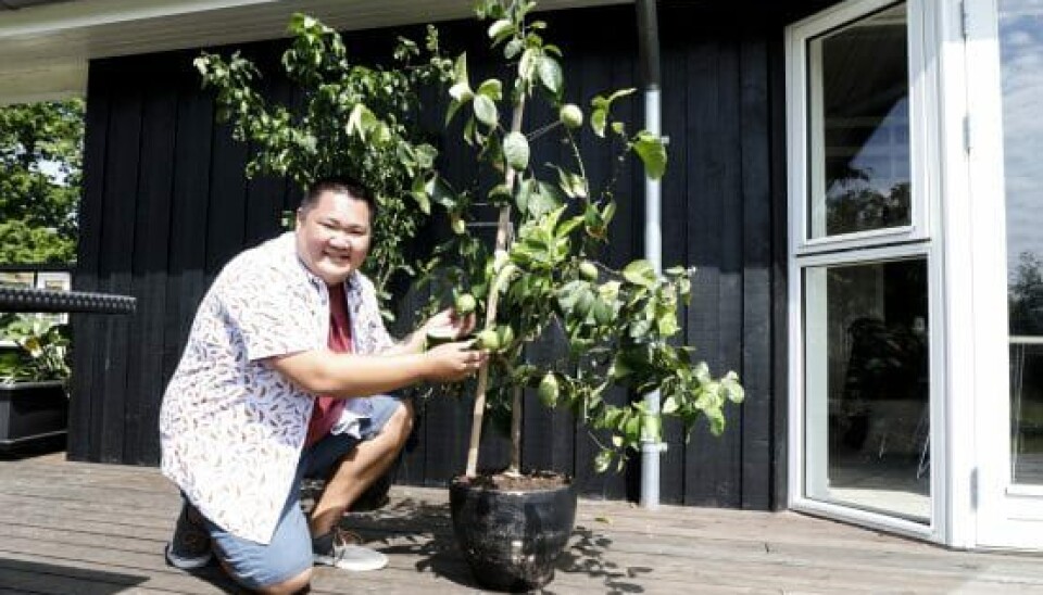 Hjemme hos Micki Cheng fra 'Den store bagedyst' (Foto: Niels Henrik Dam)