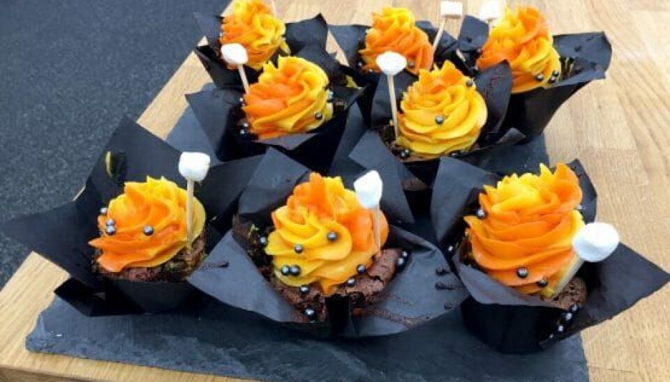 Karls personlige cupcakes fra første afsnit af 'Den store juniorbagedyst' (Foto: Carsten Mol/DR)