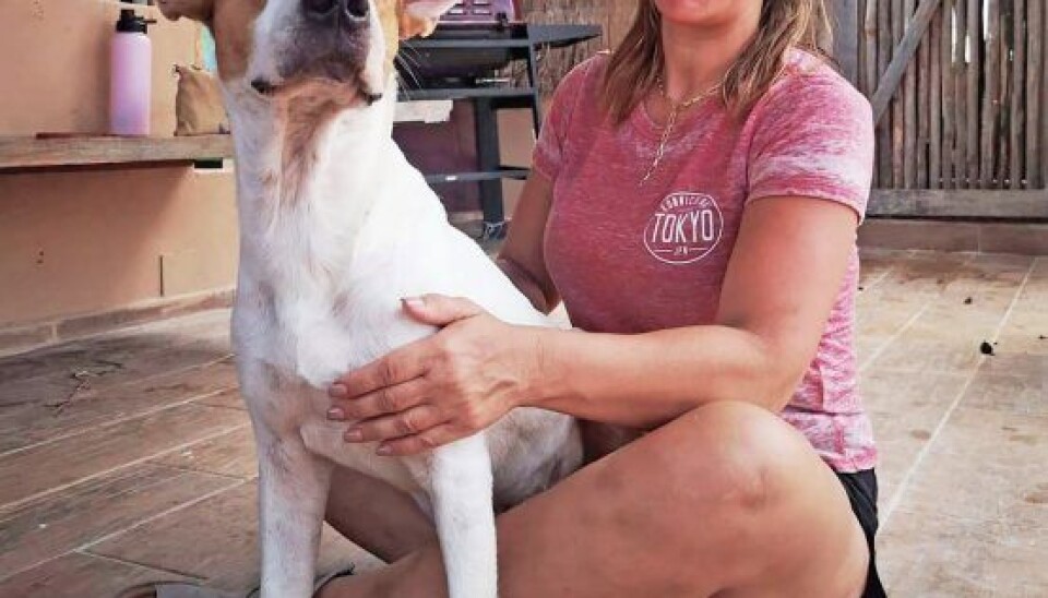 – Hunden her er for syg og stresset til at blive fragtet til Danmark, men er den ikke sød? spørger Kira Eggers, der forsøger at bidrage med hjælp til gadehunde iMexico (Foto: Privat)