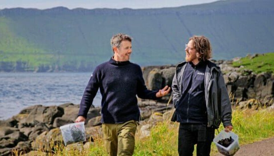 Frederik fangede søpindsvin sammen med Michelin-kokken Paul Andrias Ziska fra restaurant Koks (Foto: Morten Kruger)