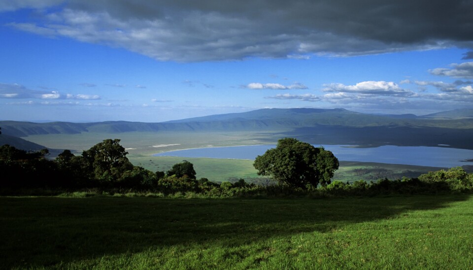 Ngorongoro naturreservatet, der er lidt større end Sjælland, kaldes også for menneskehedens vugge.