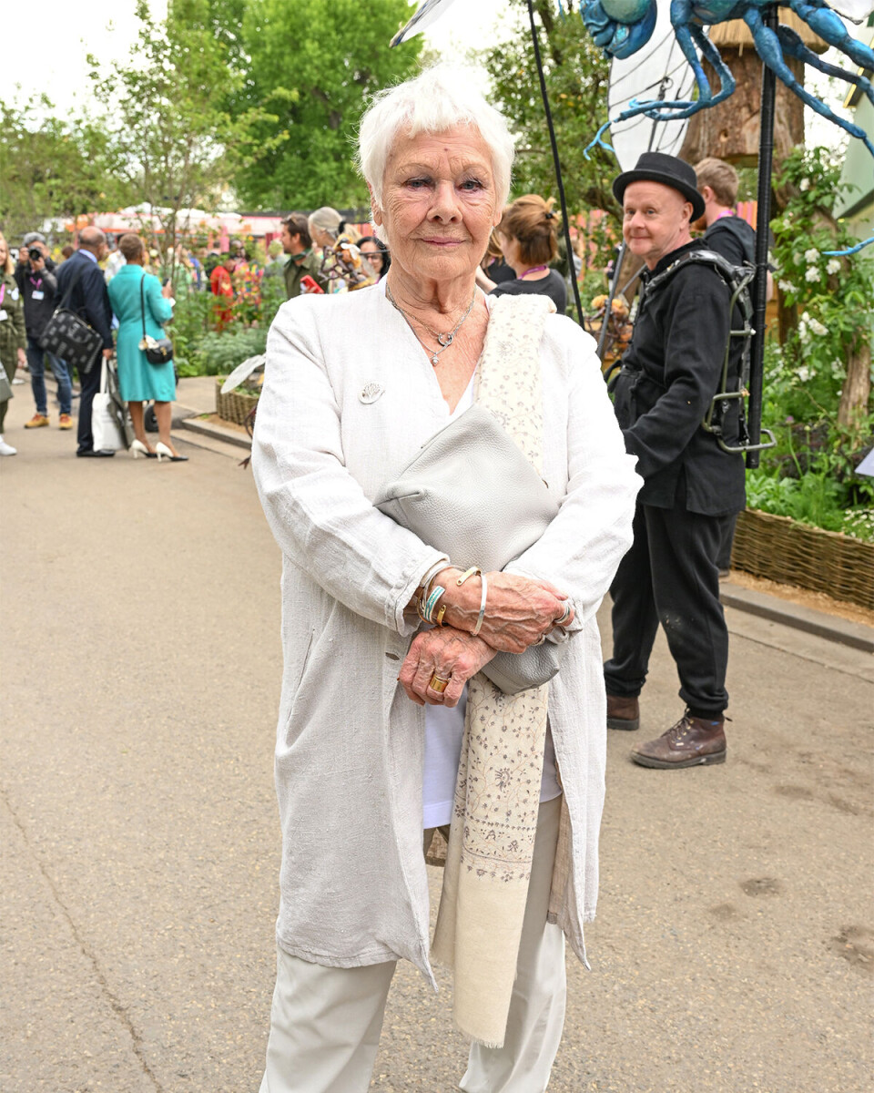 Til december fylder Judi Dench 90 år. Alderen har ikke fået hende til at drosle ned for karrieren, og så sent som i 2021 var hun nomineret til en Oscar for bedste kvindelige birolle i filmen 'Belfast'.