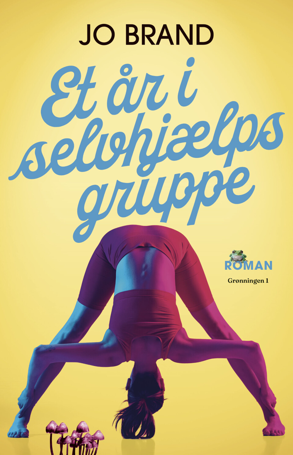 Et år i selvhjælpsgruppe af Jo Brand