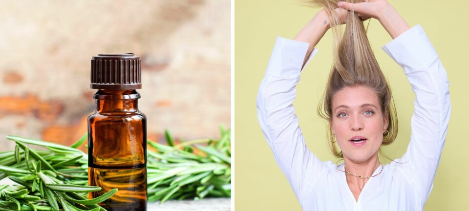 Kan rosmarinolie give dig glansfuldt hår? Vi tester den virale beautytrend