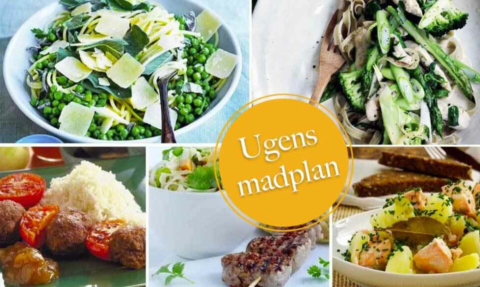 nem aftensmad madplan