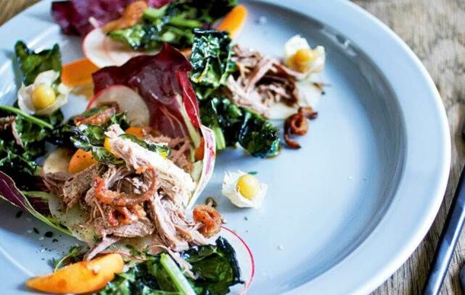 Salat med pulled duck, grønkål og æble