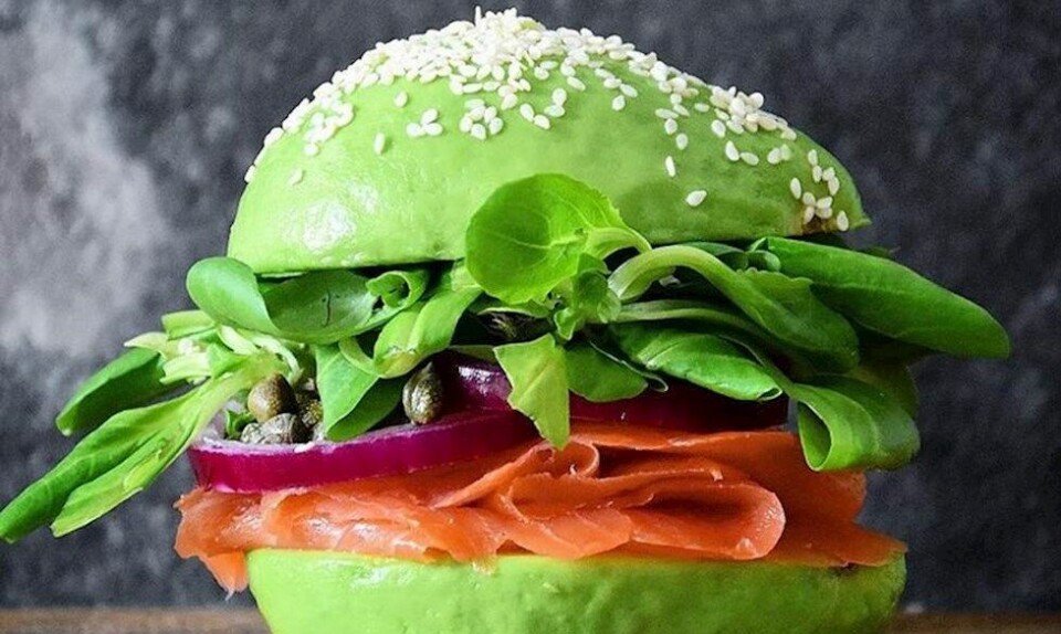 Avocado er hovedingrediensen på den nye restaurant i Amsterdam