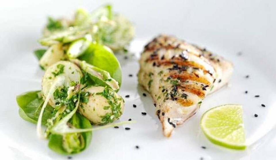 Opskrift på grillet rødfisk, peberrodspesto og kartoffelsalat