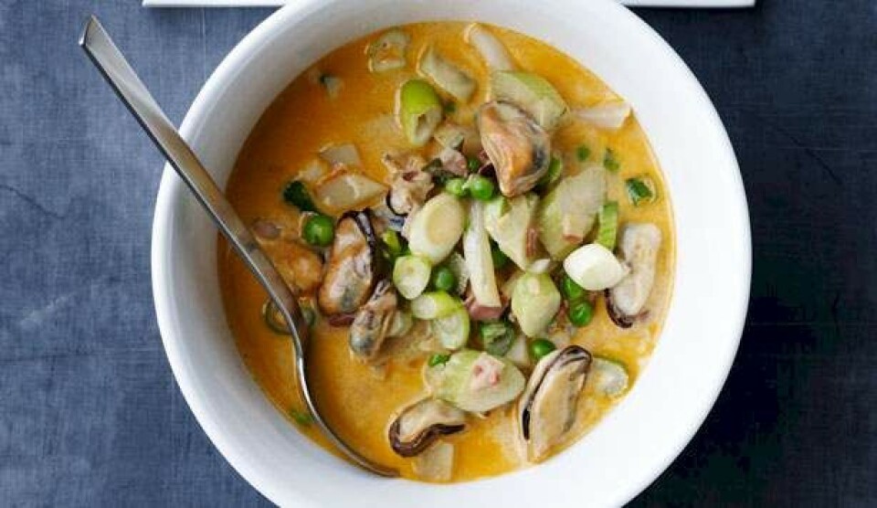 Amerikansk muslingesuppe: Clam chowder