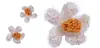 Hvid 5-bladet blomst fra Hendes Verden
