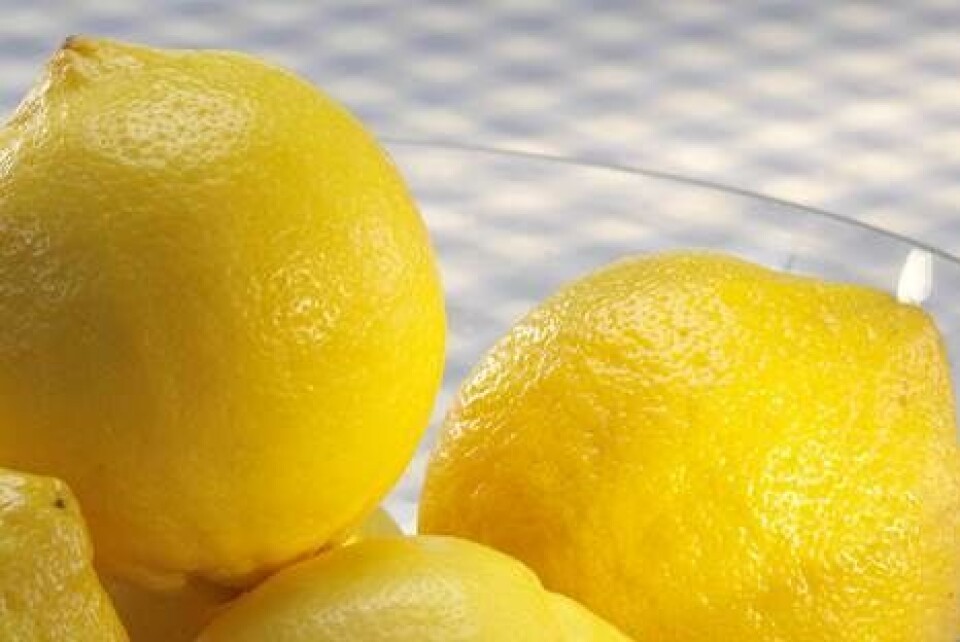 Sukkerfri citronfromage