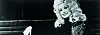 Dolly Parton