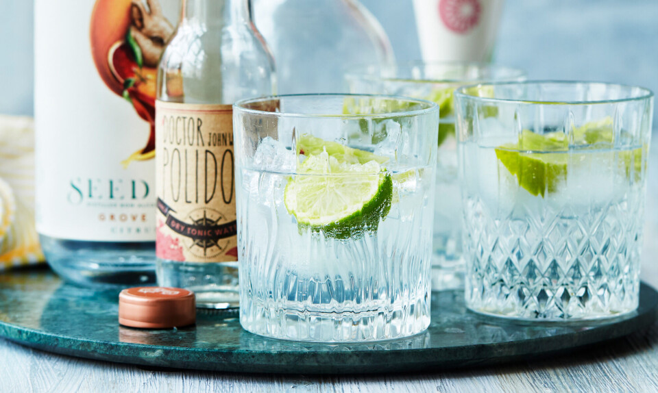 Nem alkoholfri drink: Virgin G&T