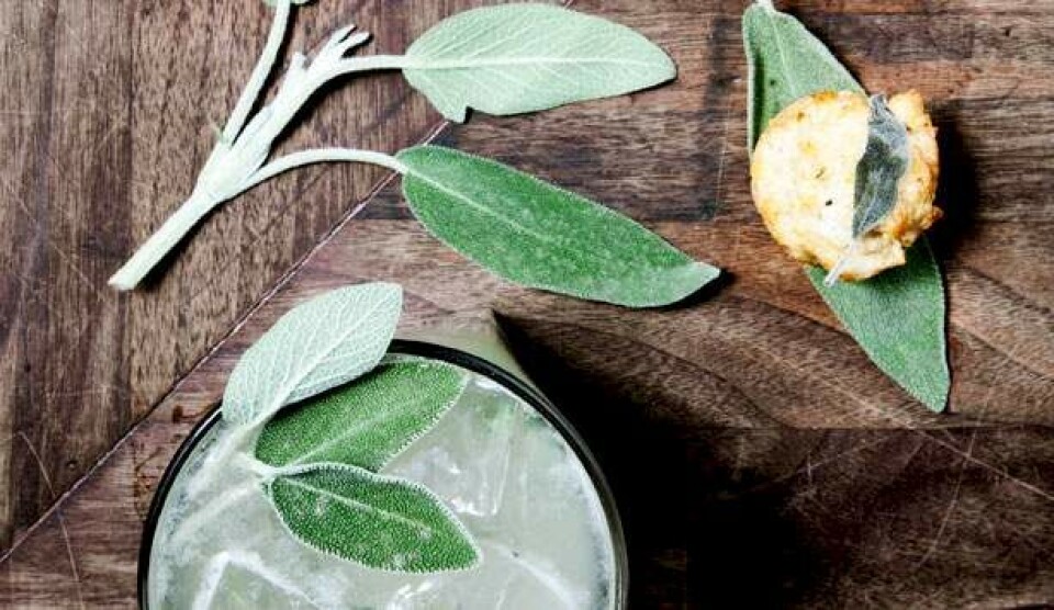 Opskrift på minimuffins med gedeost & salvie og sage margarita