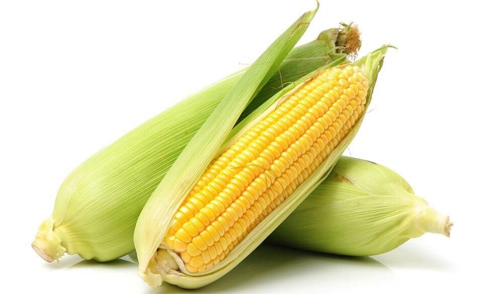 Madlavning i mikrobølgeovn