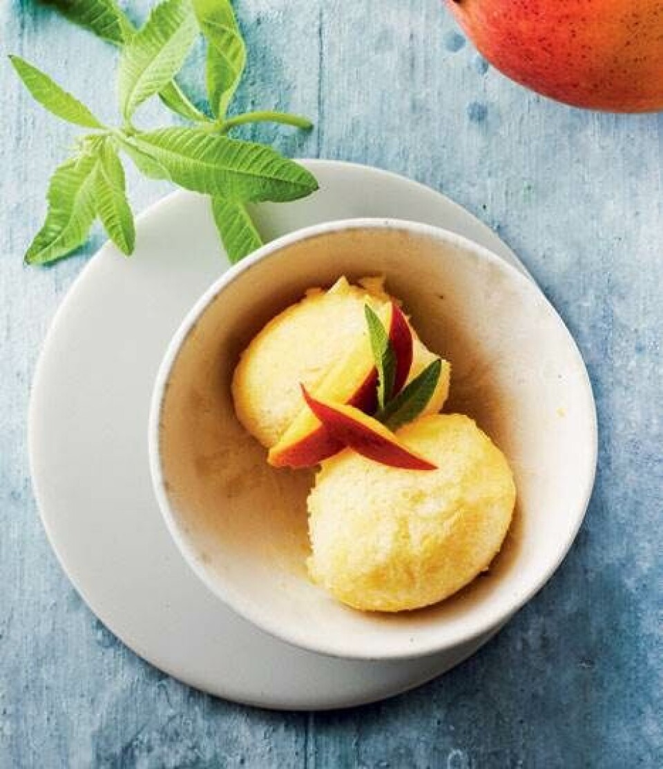 Mangosorbet
