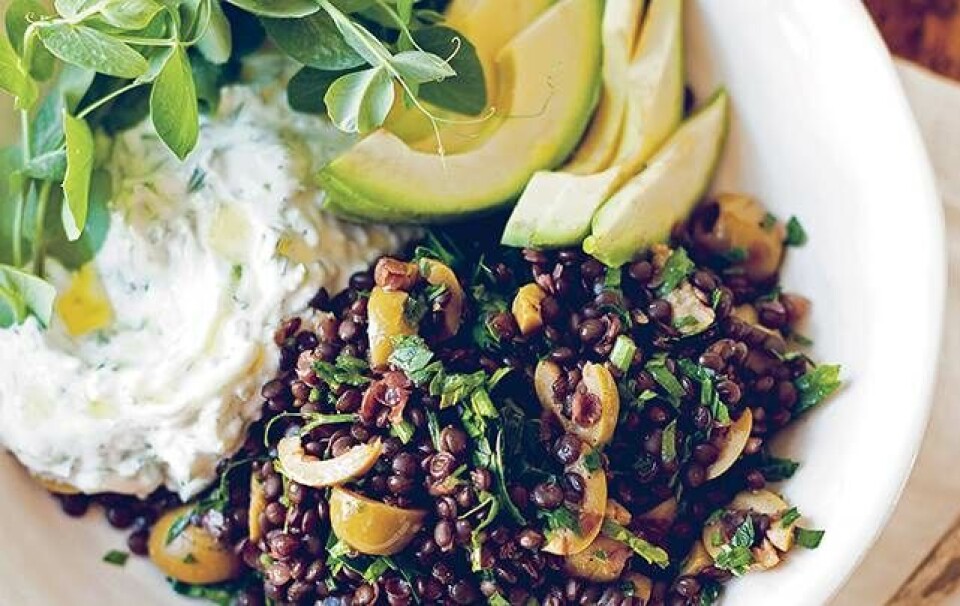 Linsesalat med tzatziki, avokado og ærteskud