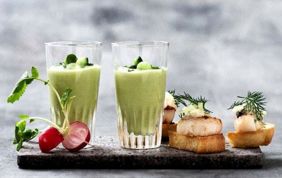 Opskrift på agurke-avocadosuppe og kammuslinger