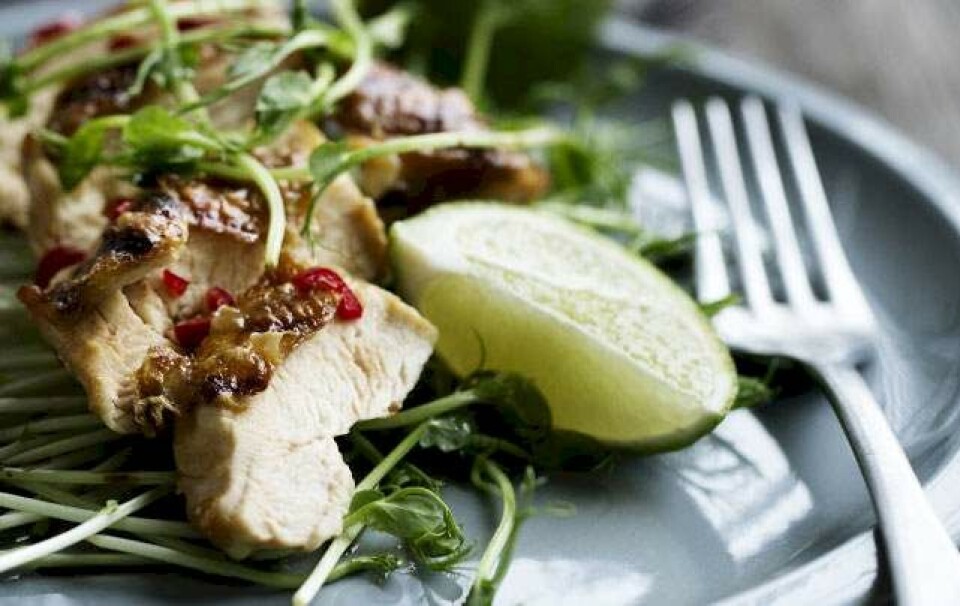 Kylling med chili-ingefær-marinade og salat med ærtespirer