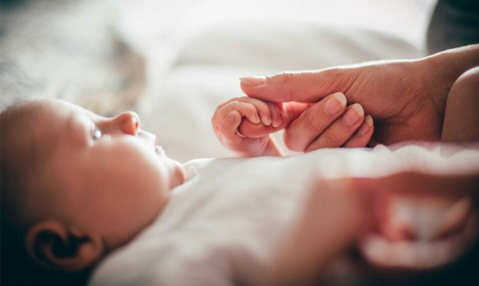 Baby holder i hånd