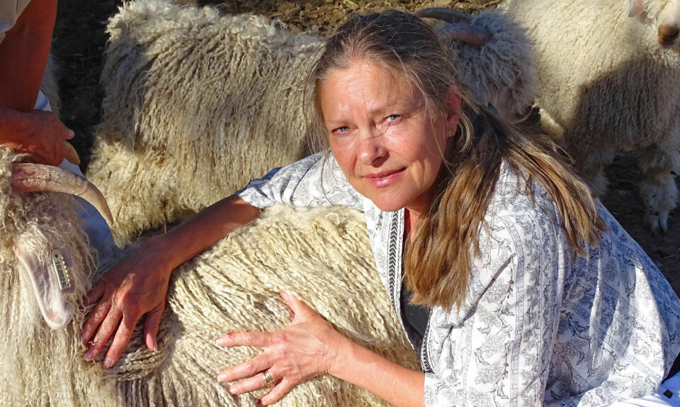 Annette von Broich mohair