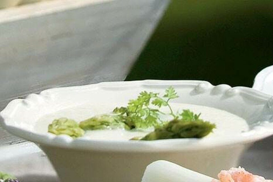 Aspargessuppe