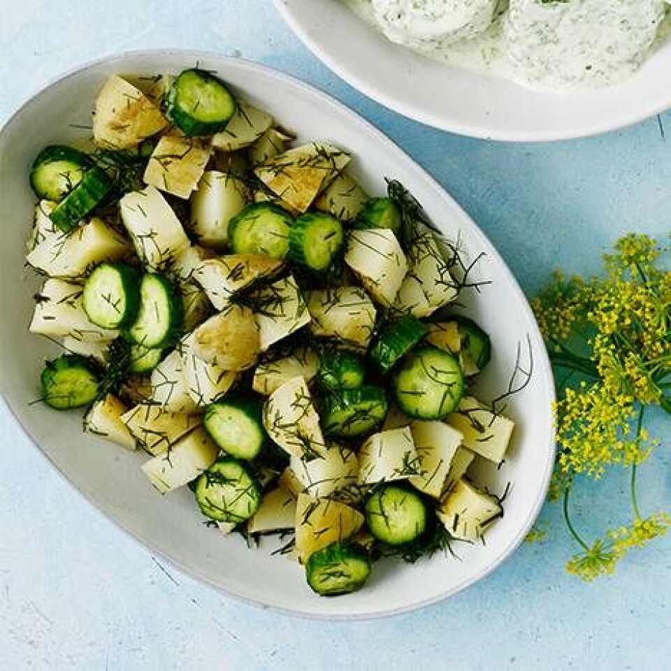 Kartoffelsalat og agurk i sursød lage