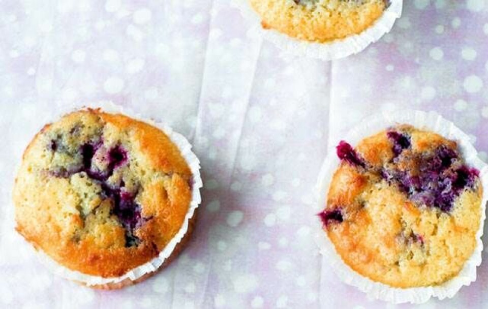 Solbærmuffins med hvid chokolade