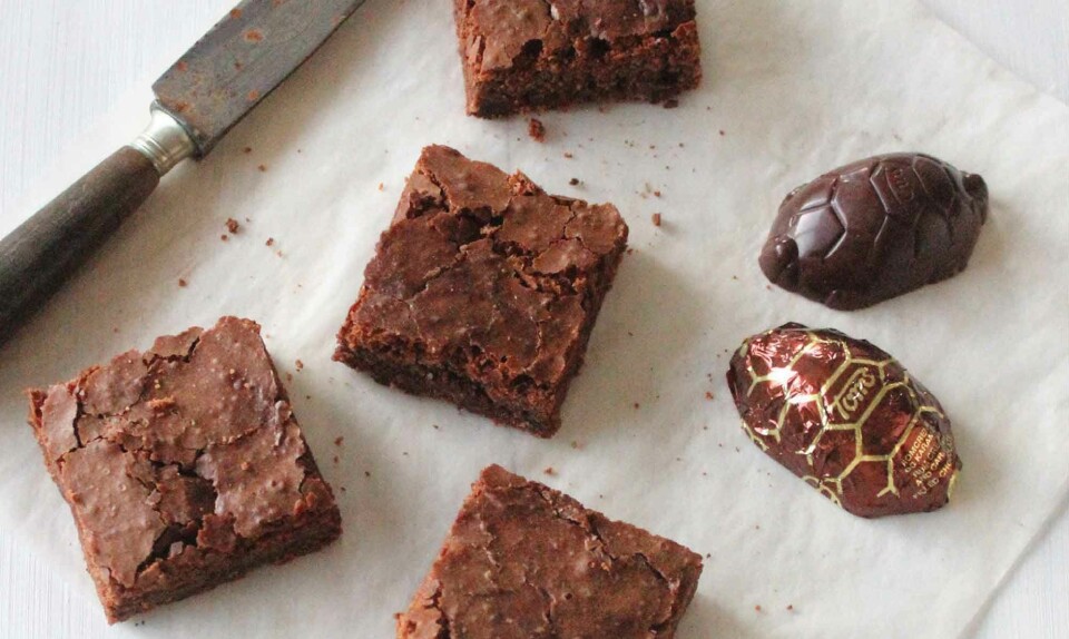 skildpadde brownies