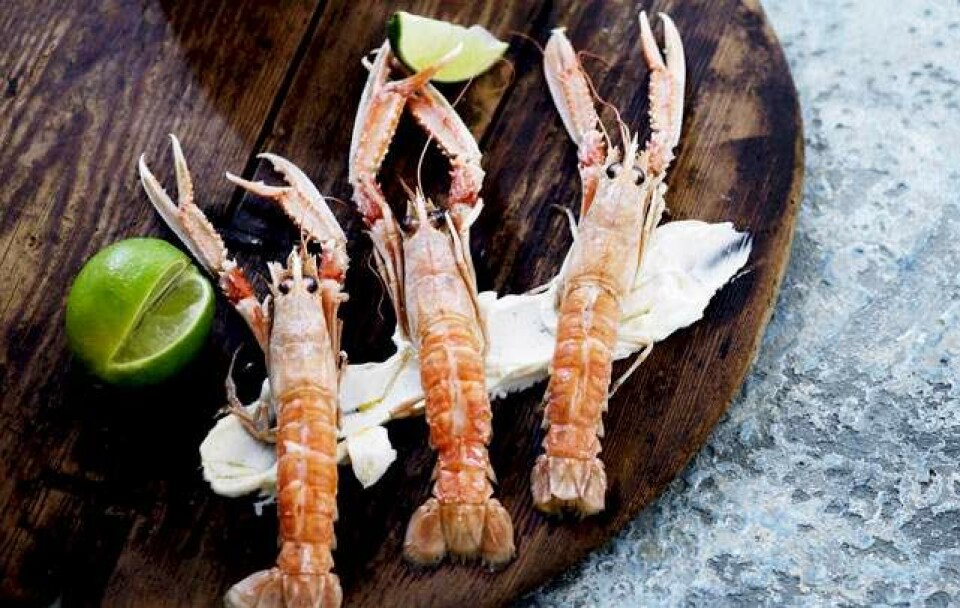 Opskrift på jomfruhummer med citronsmør